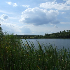 WASSER-FERTIG - i gitt pferde