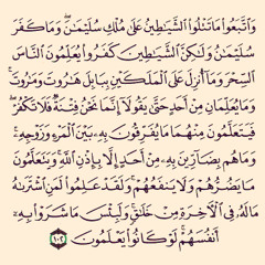 سورة البقرة - سلمان العتيبي