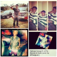 Splurge Gangg ft. Lil Fly-Bonnie&Clyde [prod.by @YUNGLAN ]