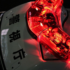 Smaug & Worpo · Pig Boppa