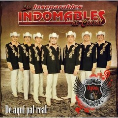 Huapango - Los Indomables de Cedral