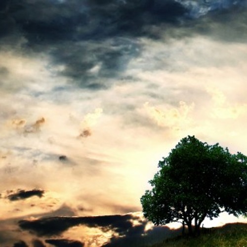 Michelangelo(Chingachgook) LIVE @ Audiowaska Stage Early Morning Set Lucidity Festival 2013