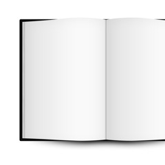 The book