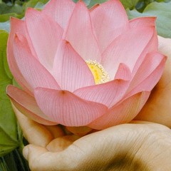 Lời Khấn Nguyện
