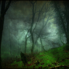 Audiospazm - The Magic Forest (Greko Remix)