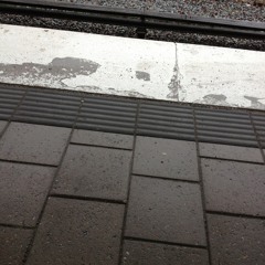 Hundar som kommunicerar