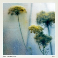 Soosh - The Way You (Zack Christ Remix)