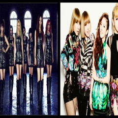 T-ara Day By Day & 2NE1 I Love You Songs