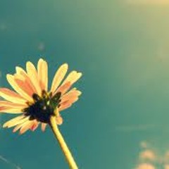 Quantaura - After spring (preview)