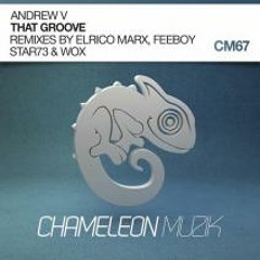 Andrew V - That Groove (Feeboy ReGroove) [Chameleon Muzik]