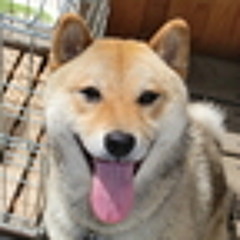 Affinity Propagation (Outro) / Solo contest? byRyuuta Sasaki（どらごん）