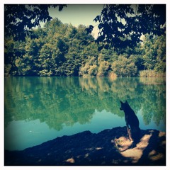 JR&PH7 - Goodbye (dMX)