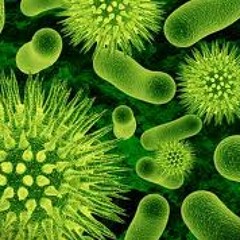 Germs Collab by AliEn LOuNge,Lost in Lala Land,and @uDioGa$m