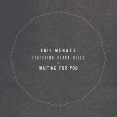 Kris Menace feat. Black Hills (Vincent Fries Remix)