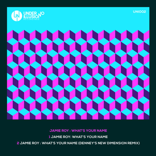 Jamie Roy - What's Your Name - (Denney's New Dimension Remix)
