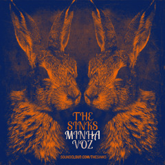 The Sinks (RN) - Minha Voz