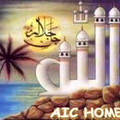 حفلــة الفنان ولـــيد جامـــــيكا