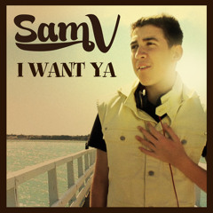 Sam V - I Want Ya