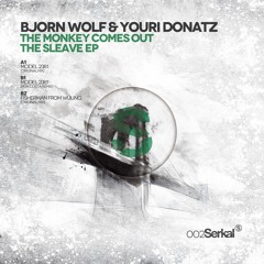 Bjorn Wolf & Youri Donatz - Model 2381 (Ron Costa Remix) [Serkal]