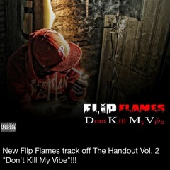 Flip Flames - "Dont Kill My Vibe"