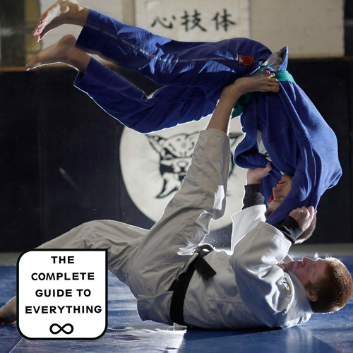 Stream Martial Arts by The Complete Guide to Everything Listen online
