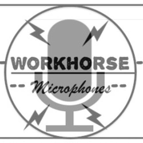 Stream RM010 Ribbon MicrophoneFull BandRoom Mic by