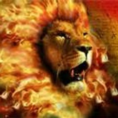 01 - Gotta Fire N My Bones