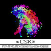 CSK - Dutch Gentlemen (Psy, Afrojack, Sidney Samson, R3HAB)