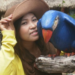 យប់នេះពិសេសមែន !