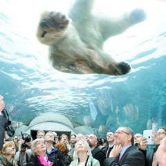 Keroi - Ella quiere...