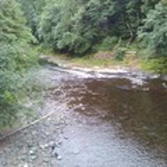 Down by the river-Neil Young Cover
