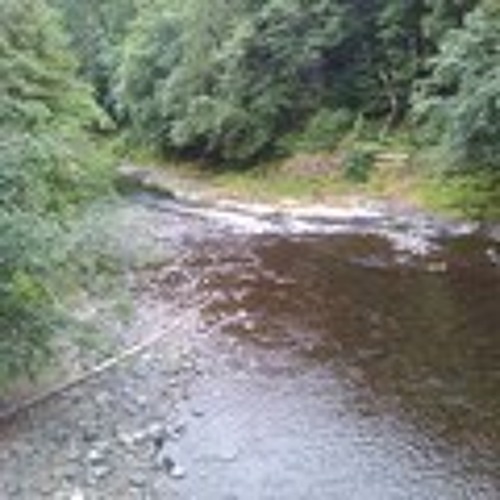 Down by the river-Neil Young Cover