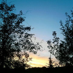 05 random emotional title