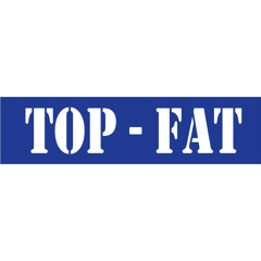 07 - Fat Blues Chaminé Band - Mercy mercy (Don Covay)