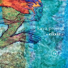 Kaya Project - 65 percent (Tripswitch's The Other 35 remix) :: teaser