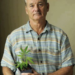 Bluedark