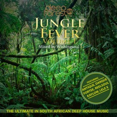 Jungle Fever Vol.1 mixed Wishingsoul (preview)