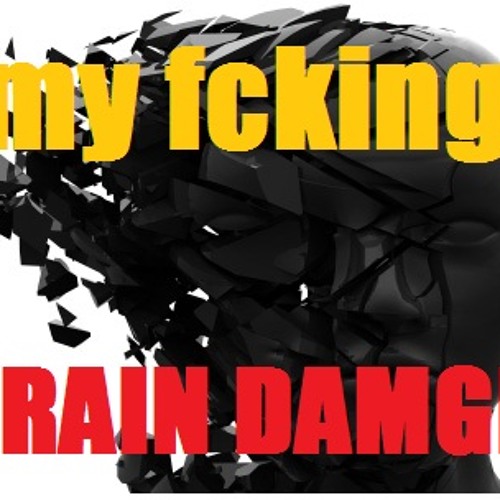Si-Moon - my fucking brain damage