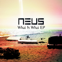 Neus - What is What (The Milf Hunters remix)