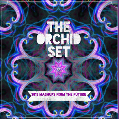 Not For You_Gold Coast Hustle (Pretty Orchid Noir Mashola)