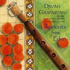 Jivan Gasparyan -  Duduk (Remix)