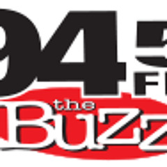 Buzzfest 30 - Promo Medley - 94.5 The Buzz Houston, Texas