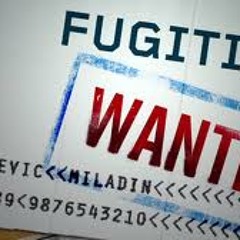 - SINE THE LAST SIGNAL - FUGITIVE OF THE EXPERIMENTS -