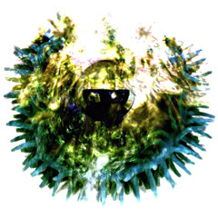 from what i have heard demo