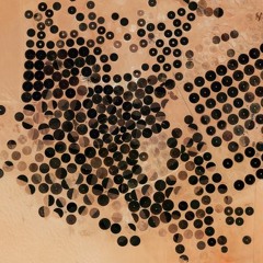 Dry, hollow, wooden (feat. Delia Derbyshire)