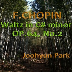 Waltz in C-Sharp Minor, Op. 64, No. 2