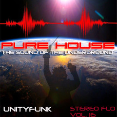 PURE HOUSE - UNITYFUNK