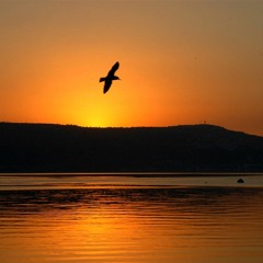 Reut Oren - Al sfat ha kinneret