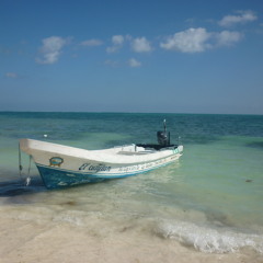 Andrea Lenzi - Habanero yellow