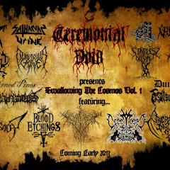 S.F.I Sturmgeist Fornicator Insultus - The Art of The Identifiable And Corpse Nekro-uality